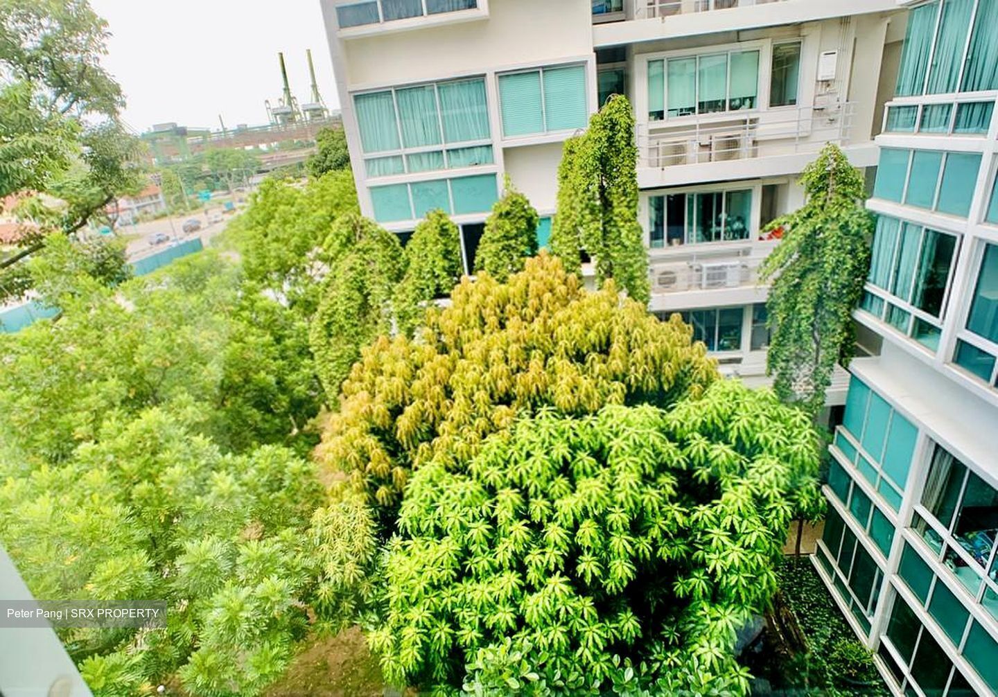 The Stellar (D5), Condominium #430924691